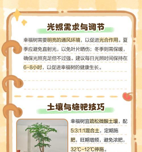 过道树圆叶子发黄怎么办？叶子发黄的可能原因及处理方法是什么？
