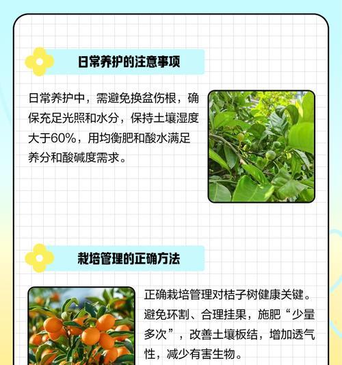 过道树圆叶子发黄怎么办？叶子发黄的可能原因及处理方法是什么？