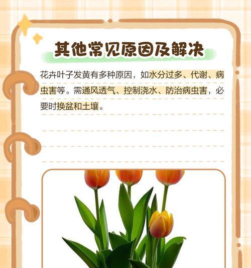 月经叶子顶部发黄是什么原因？