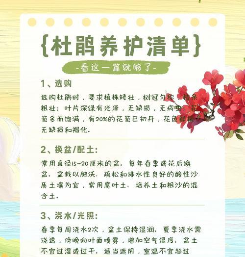 花箱浇水施肥的最佳方法是什么？怎样避免植物根系受损？