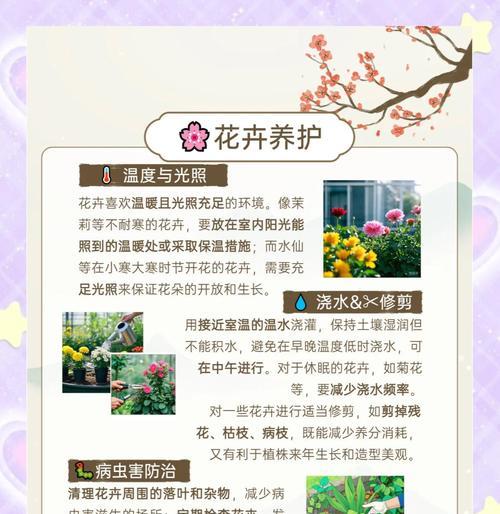 花箱浇水施肥的最佳方法是什么？怎样避免植物根系受损？