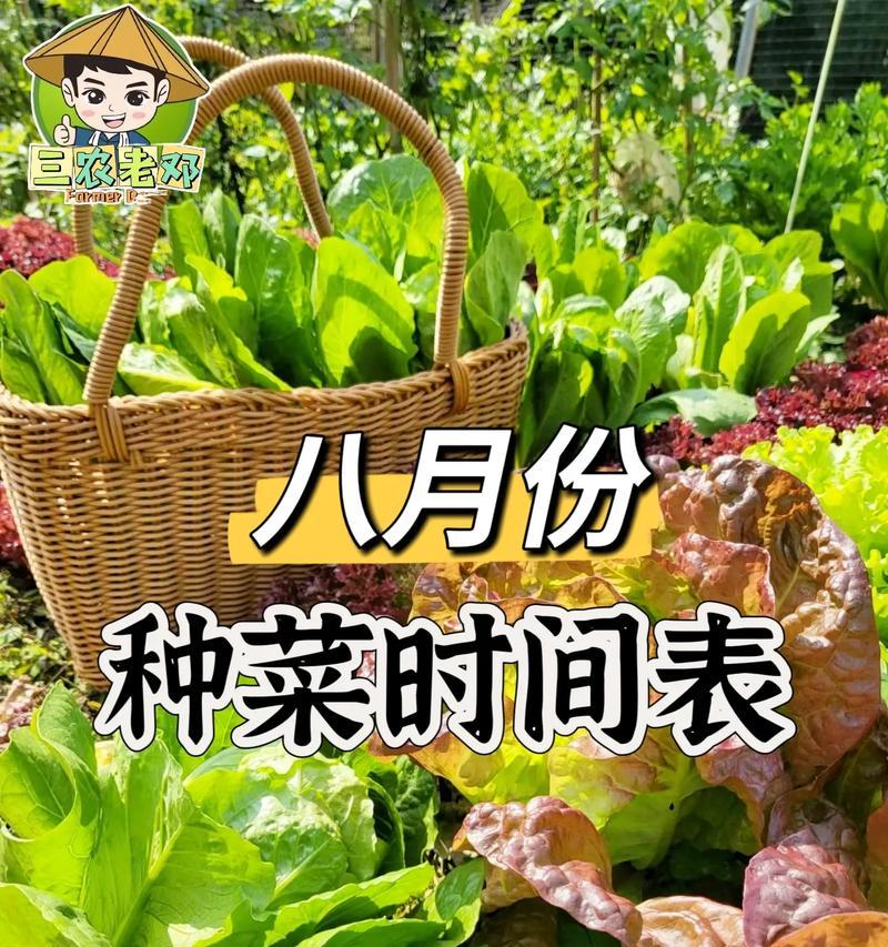 7月份有什么蔬菜可以播种？播种的最佳蔬菜种类和方法是什么？