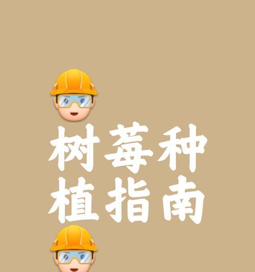 播种时施肥的必要性是什么？