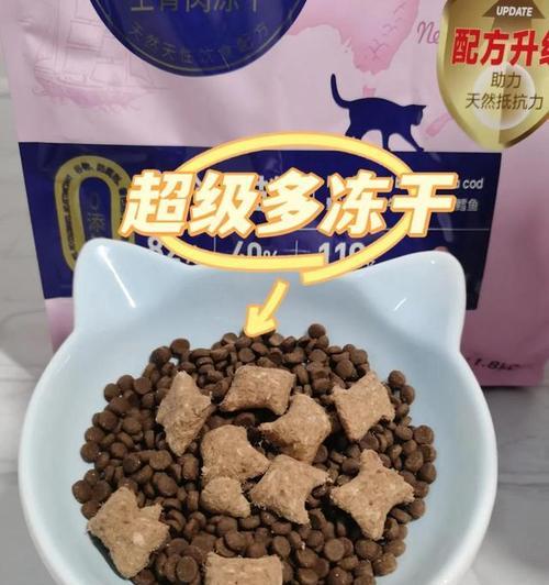 猫咪误食君子兰的处理方法是什么？