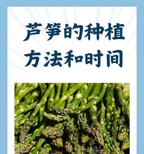 芦笋浇水的最佳方法是什么？