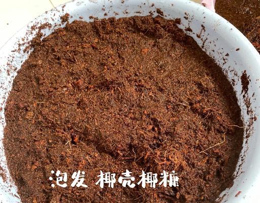 月季玫瑰怎么自己配土？如何制作适合月季玫瑰的土壤？