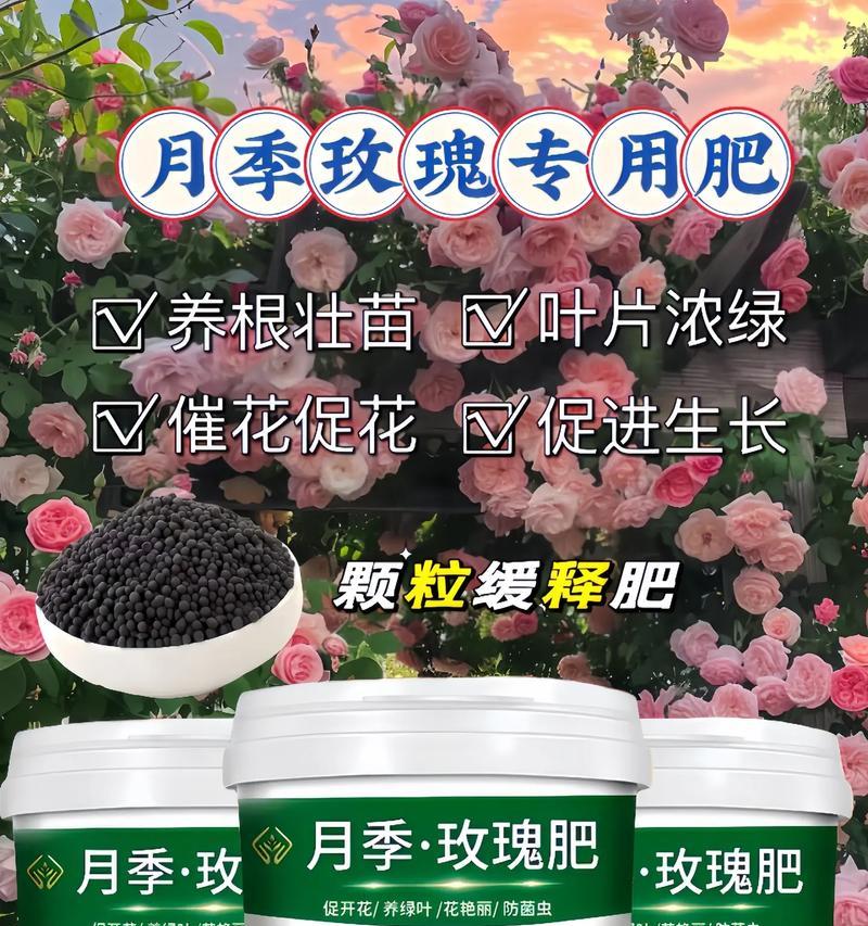 月季玫瑰怎么自己配土？如何制作适合月季玫瑰的土壤？