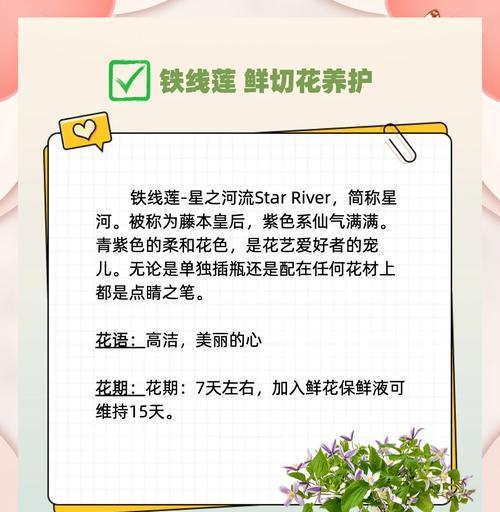 铁线莲瘦弱的养护方法和技巧？