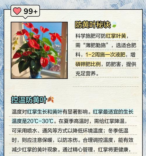 叶子发黄的具体原因是什么？如何分辨不同原因？