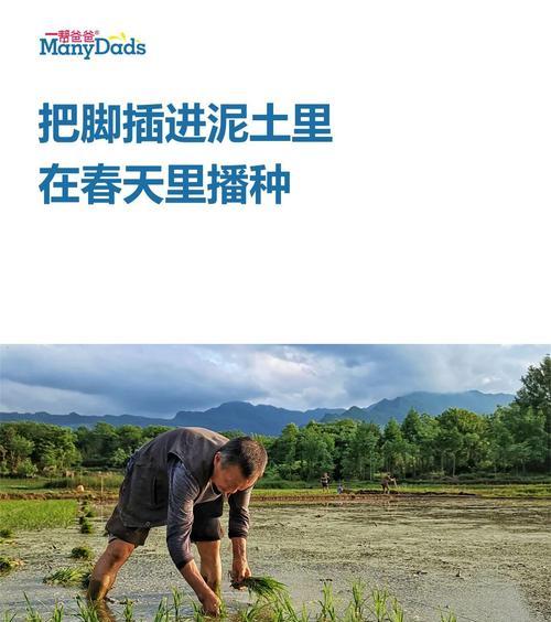 小狗用脚播种是什么意思？这种行为背后有何含义？