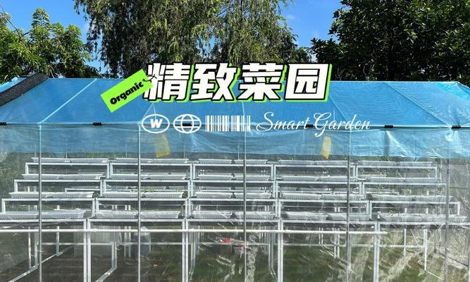 种植通菜时自制肥料的方法是什么？