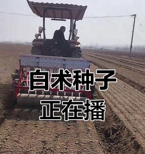 播种时正确的顺序是什么？