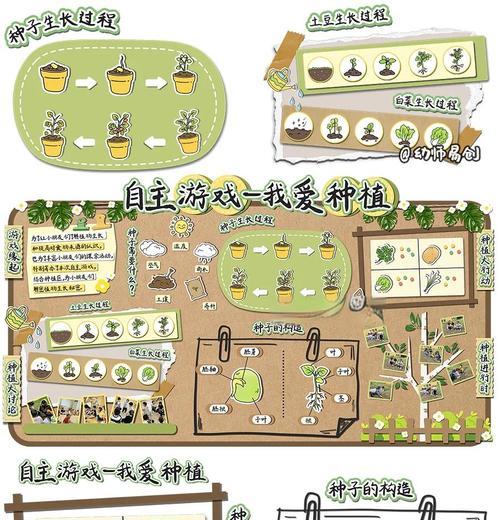 播种时正确的顺序是什么？