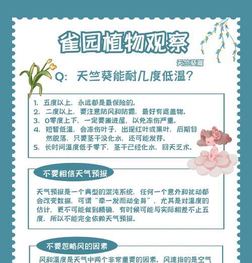 春天新入手天竺葵的养护要点是什么？