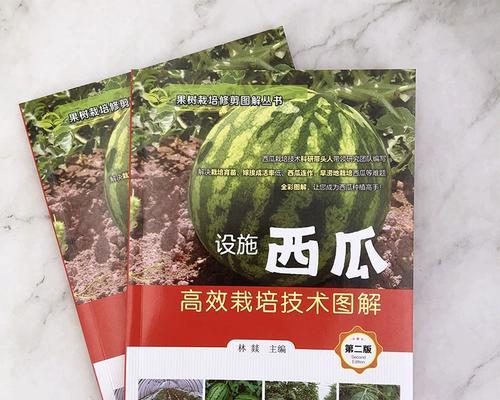 西瓜栽培的关键技术要点是什么？