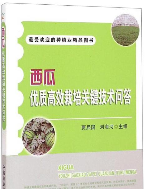 西瓜栽培的关键技术要点是什么？