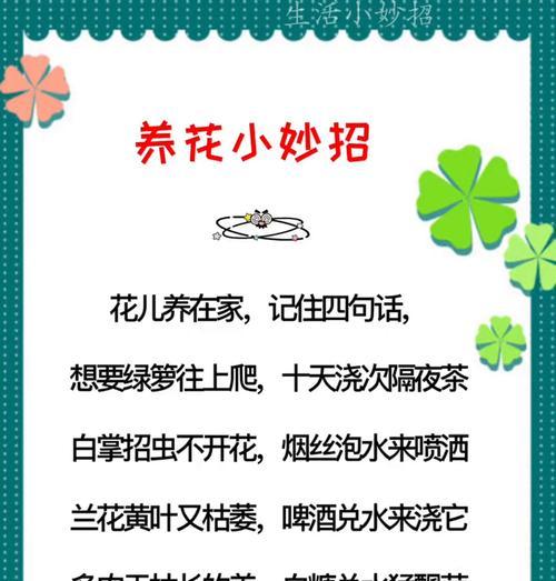 养花有哪些实用技巧和方法？