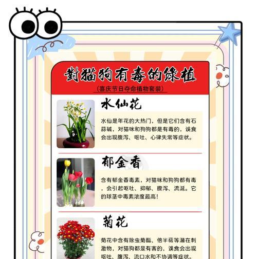 养花有哪些实用技巧和方法？