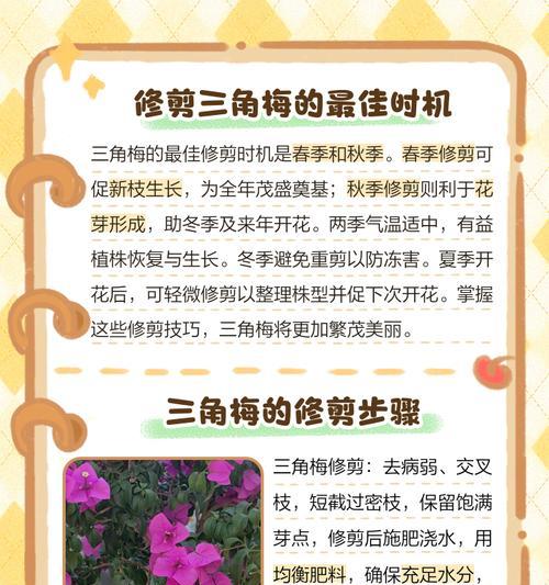 三角梅新枝不长刺的方法有哪些？