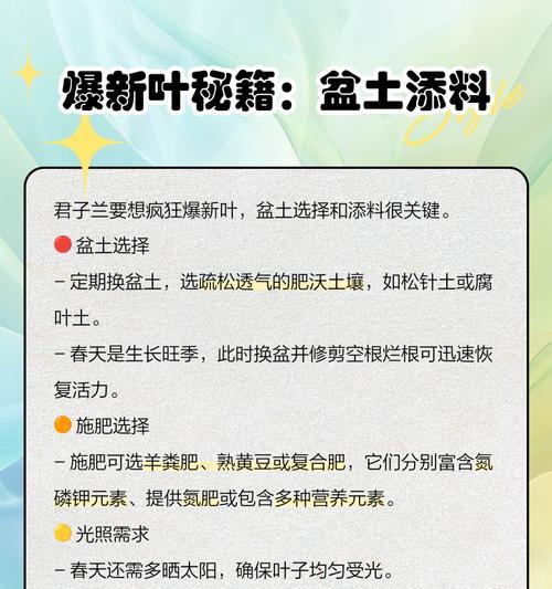 领导偏爱君子兰的原因是什么？