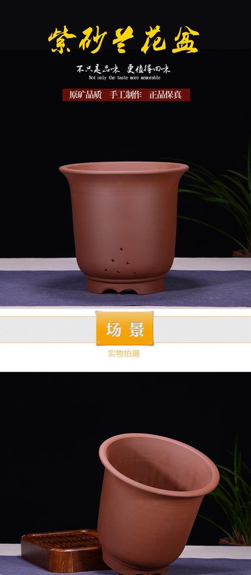 如何选择适合君子兰的瓷花盆？有哪些挑选技巧？