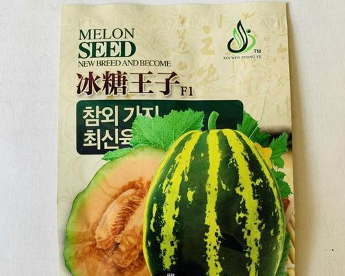 大田蜜瓜栽培技术要点是什么？如何提高产量？