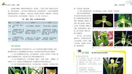 兰花转覆艺栽培技术的常见问题？