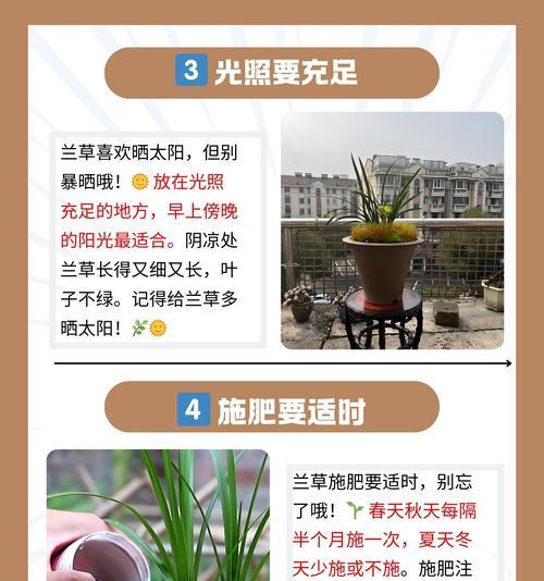兰花转覆艺栽培技术的常见问题？
