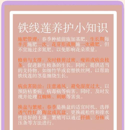 铁线莲在北方如何过冬？冬季养护铁线莲的要点是什么？