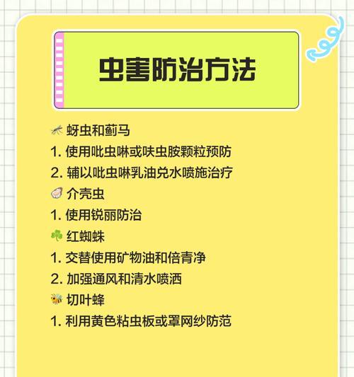月季青虫子怎么消除掉？有效防治措施有哪些？