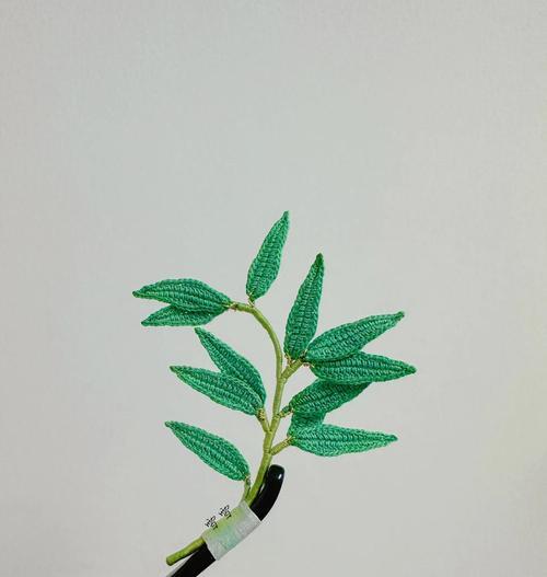 竹叶类植物叶子发黄的处理方法是什么？