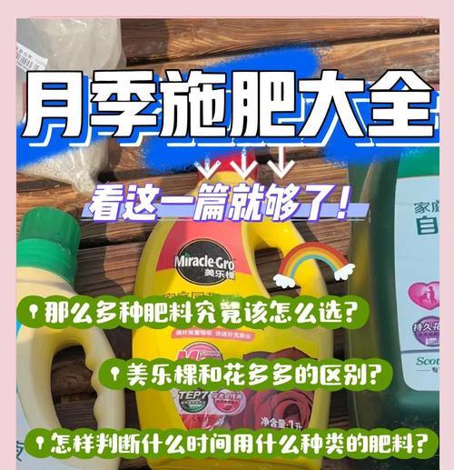 月季爆棚肥料使用方法是什么？