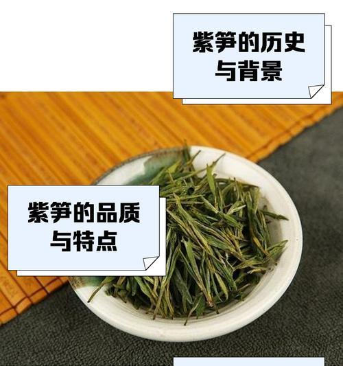 紫根芦笋栽培的关键技术是什么？