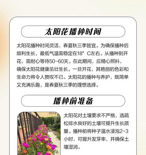 哪些花卉适合在七月进行播种？