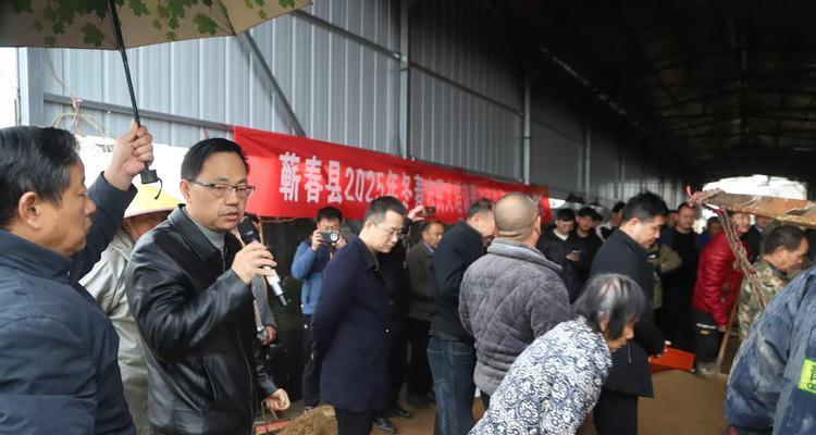 抛秧栽培技术的步骤和要点是什么？