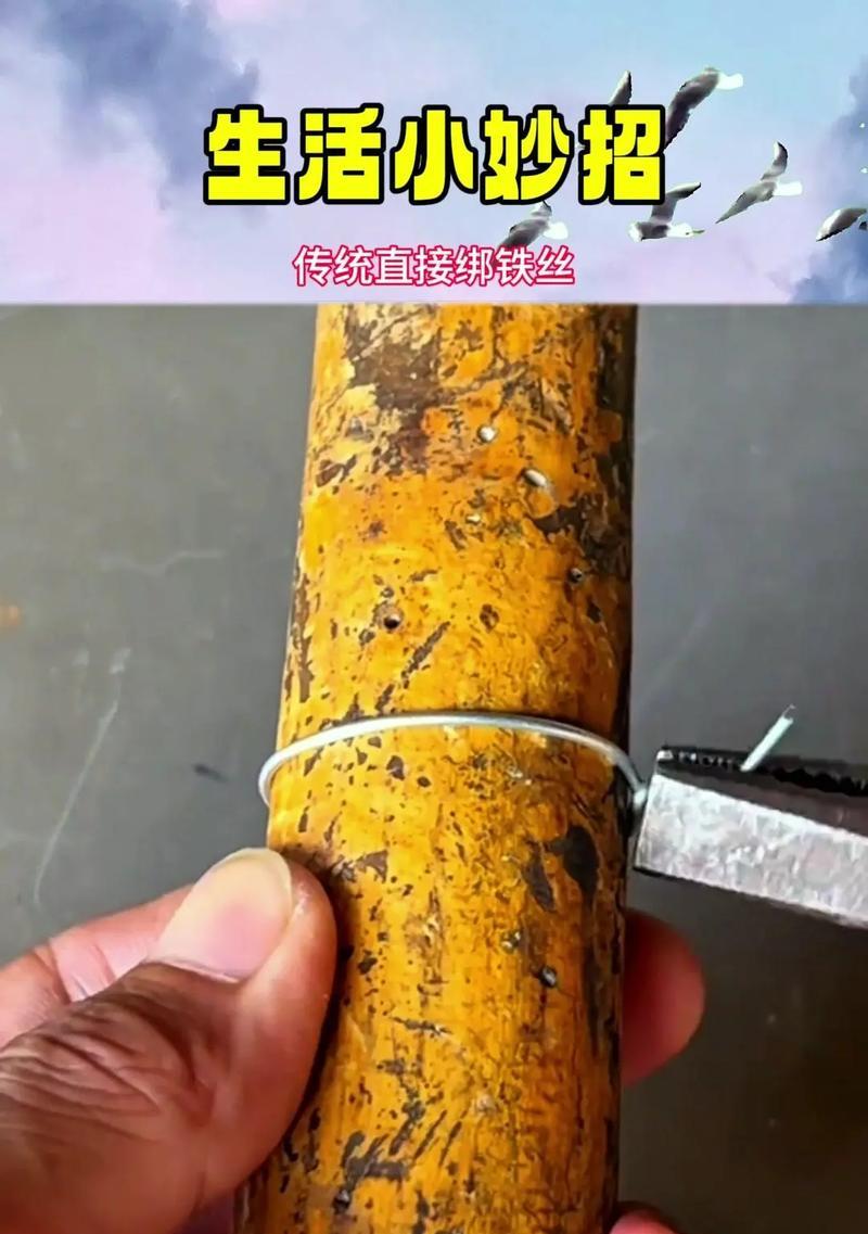 盆景工具铁丝的正确使用方法是什么？如何利用铁丝进行盆景造型？