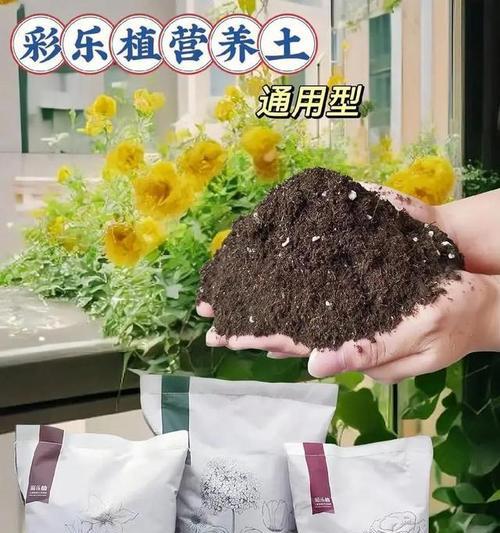 养花的配土技巧有哪些呢？如何根据植物选择合适的土壤？