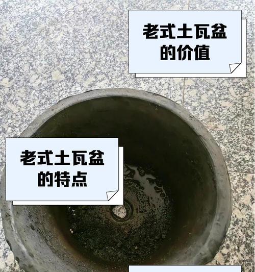 如何制作烂瓦片艺术盆景？