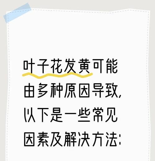 树叶发软叶子发黄掉叶？可能的原因是什么？