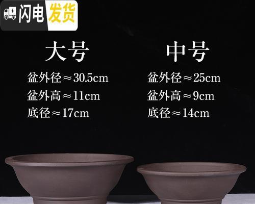 盆景变色问题？白色盆景如何变成黑色？