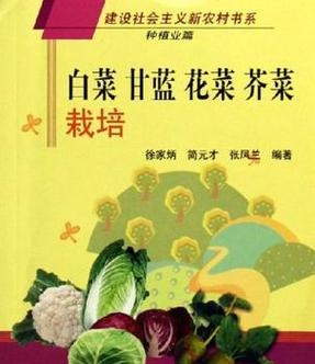 芥菜栽培技术指导包括哪些内容？如何提高产量？