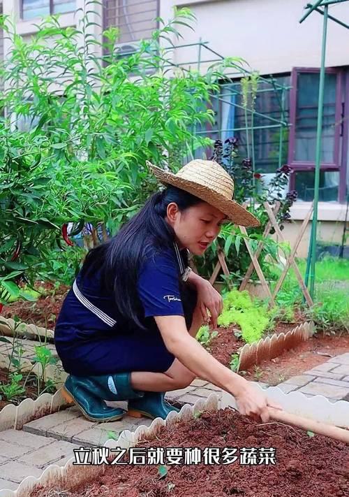 养花种菜生活小技巧有哪些？怎样让家庭园艺更简单？