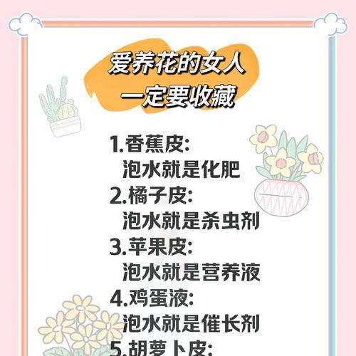 养花种菜生活小技巧有哪些？怎样让家庭园艺更简单？