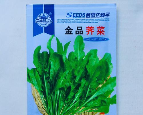 茴香菜播种用什么播种器好？推荐有哪些？