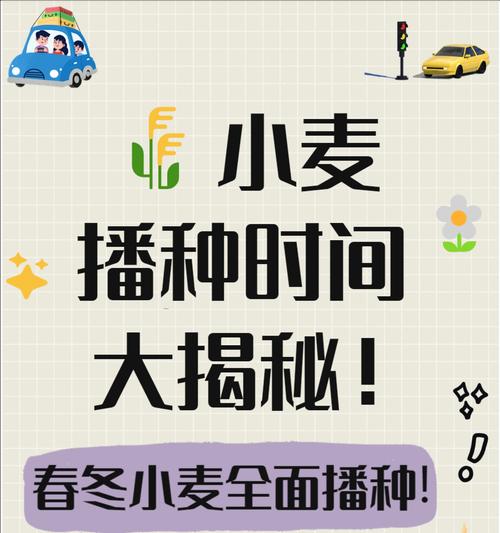 结根种子什么时候播种？播种前需要做哪些准备工作？