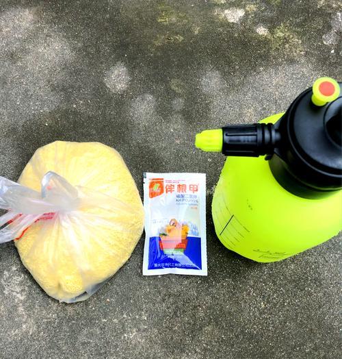 月季益生菌肥料如何使用？有哪些注意事项？