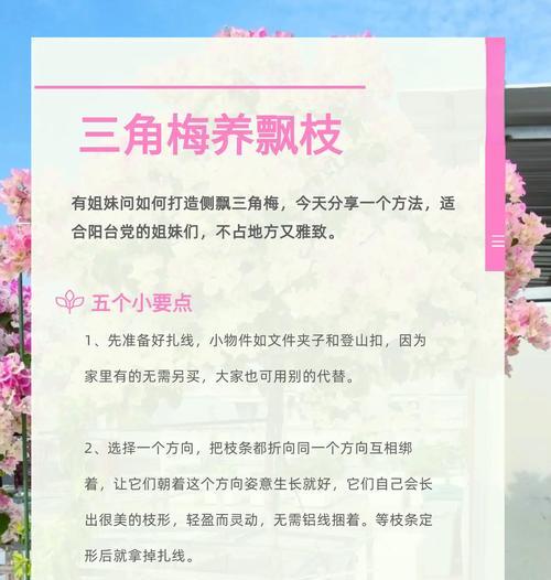 三角梅木质枝条修剪方法是什么？