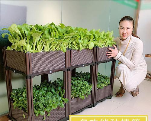 荔枝树老叶发黄补救方法有哪些？