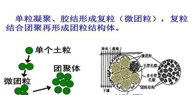 自制腐殖质土壤肥料的方法是什么？