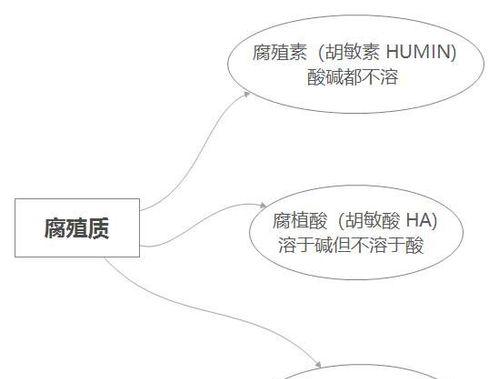 自制腐殖质土壤肥料的方法是什么？